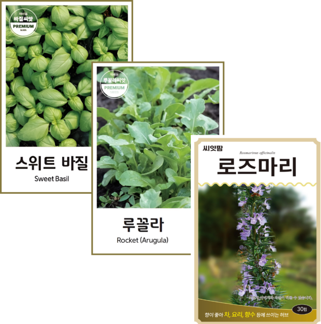 허브씨앗 3종 스위트바질+루꼴라+로즈마리 허브 rosemary 루콜라 바질 키우기 허브 종자, 1개
