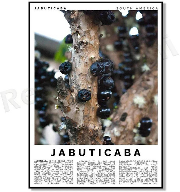 리치 아카이 과라나 수박 자보 두리안 람부탄 망고스틴 구아바 바나나 사과 과일 장식 주방 포스터, 1개, 8. 4 / I. 40x50cm Canvas