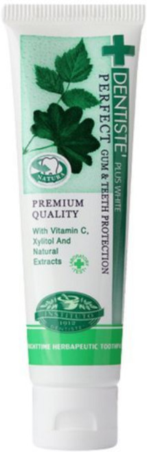 DENTISTE' 牙醫選 夜用加護口腔清新薄荷牙膏, 1個, 一般 20g