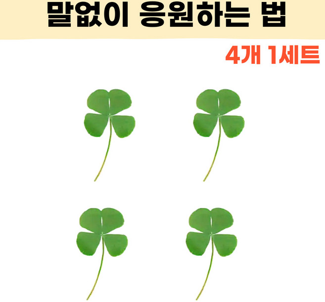 엠디픽 4개입 네잎클로버 네잎크로버 생화 코팅카드 투명 행운 응원 아이템, 1세트