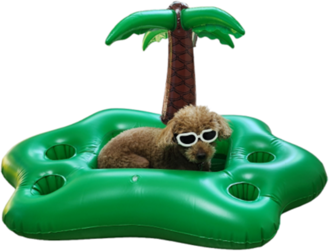 강아지튜브 물놀이 수영 애견 무지개 오리 돌고래 튜브, 야자수, 1개
