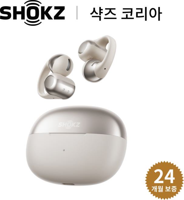 샥즈 신제품 쿠팡단독세트 샥즈 오픈닷 원 OpenDots ONE E310 블루투스 무선 이어폰, 그레이GY