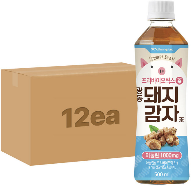 광동 돼지감자차 500ml, 12개