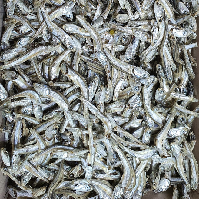 [삼대원] 국내산 고주바멸치1.5kg 조림국물용멸치 국물멸치 안주멸치, 1.5kg, 1개