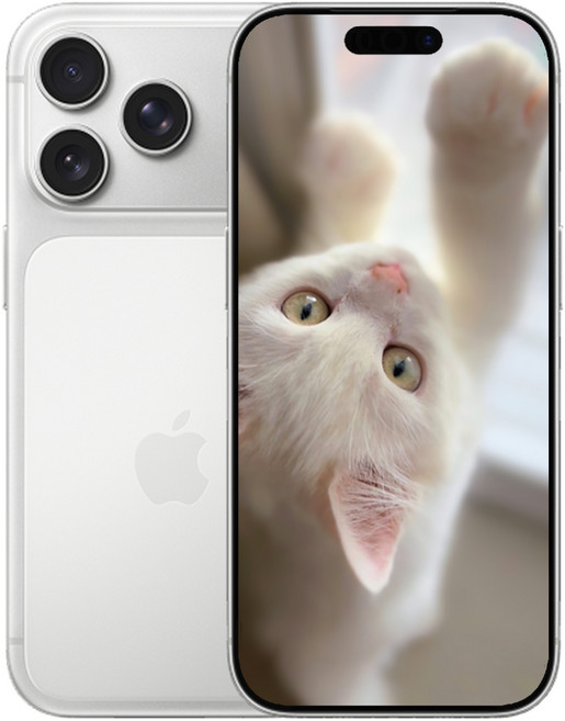 i폰 17 Pro Max 미개봉 새상품, 512GB, 실버(Silver)