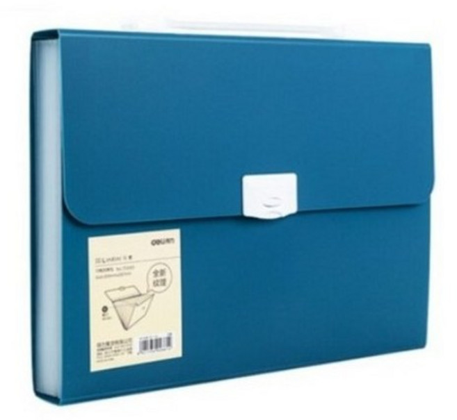 델리 린피니 스타일리쉬 도큐먼트 12분류 파일백 72593, ALL BLUE, 2개