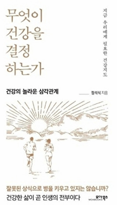 무엇이 건강을 결정하는가:건강의 놀라운 삼각관계, 모아북스, 정석식 저