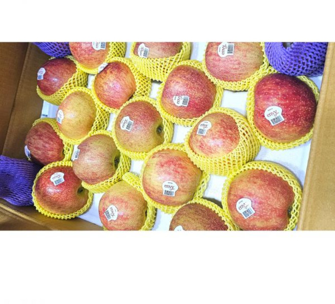 엔비정품사과 설명절 선물세트 5kg 10kg 대과 중과 엔비사과 예산사과, 대과(16과), 1박스