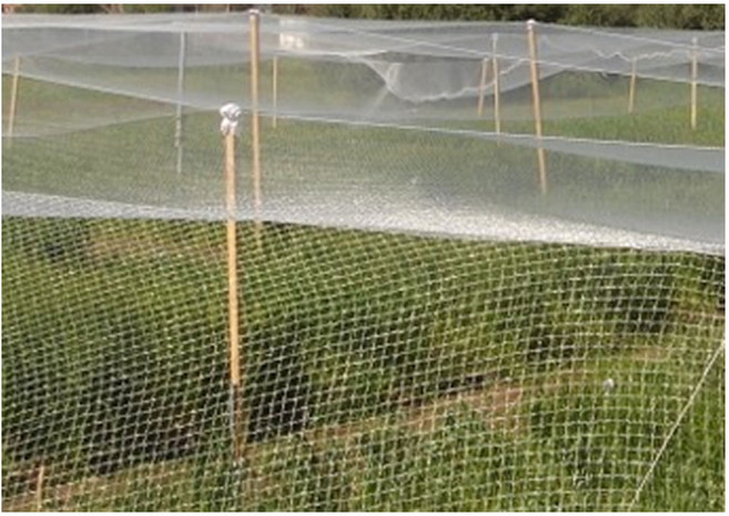 방조망 검은색 구멍크기3cm x 3cm 길이19m x 14m 참새 (새 잡는 새망 아님) 조류퇴치망 새그물망 블루베리 사과 포도 배 과수원 그물망, 1개