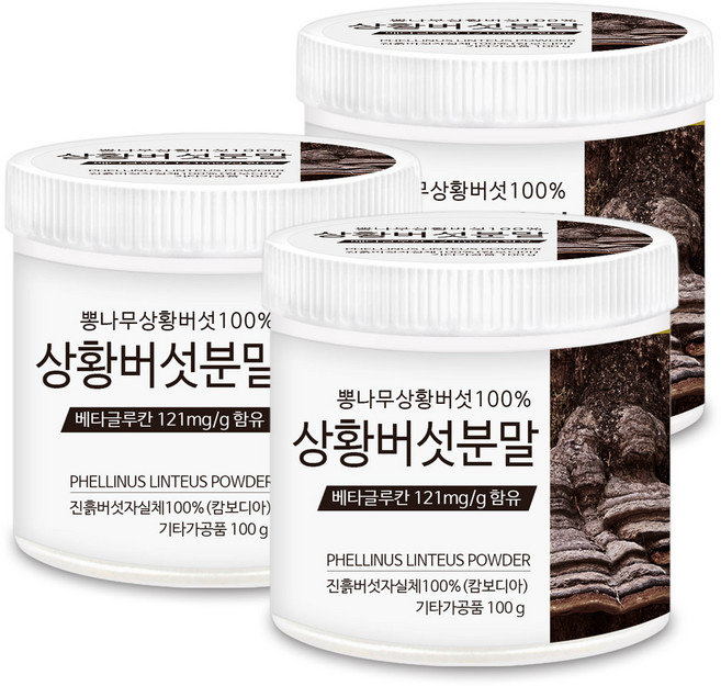 푸른들판 뽕나무 상황버섯 가루 분말 100% 베타글루칸 상황버섯 차 캄보디아, 3개, 100g