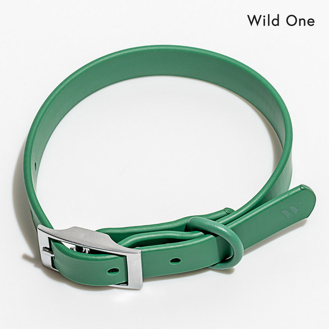 와일드원 마찰 자극 쓸림 끈적임 없는 강아지 방수 목줄 끈 중형견 소형견 대형견 방수목줄 부드러운 목줄, 스프루스, 1개