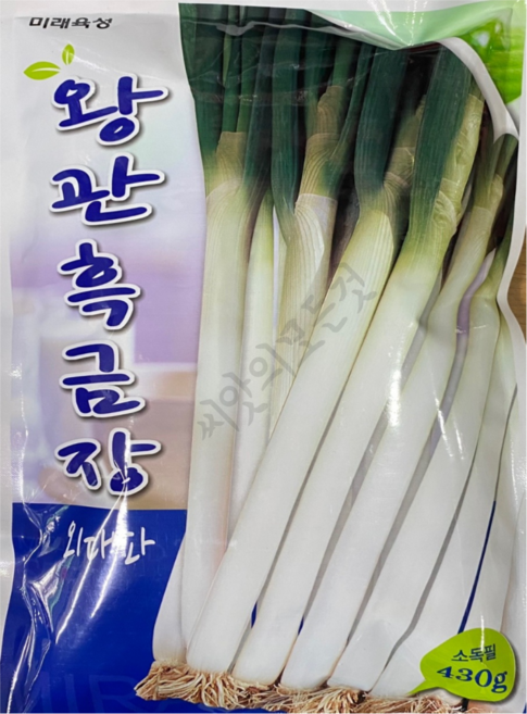 대파씨앗 종자 왕관외대파씨앗 430g 대포장, 1개