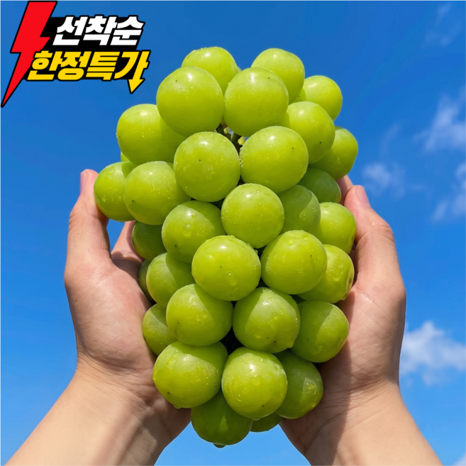 [하루100박스만] 초특가할인 산지직송 고당도 샤인머스캣, 1박스, 2kg