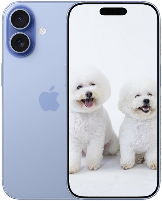 i폰 17 새상품 미개봉, 256GB, Mist Blue