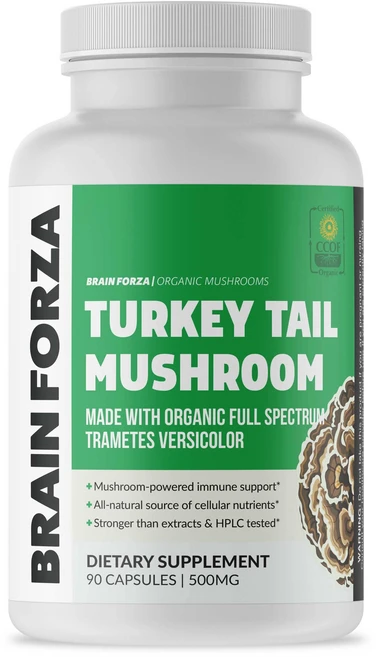 브레인 포르자 유기농 칠면조 버섯 캡슐 버섯 분말 지원 Brain Forza Organic Turkey Tail Mushroom Capsules Mushroom Powder, 1ml, 1개, 90정 - 쿠팡
