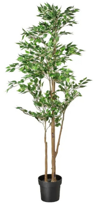 이케아 조화나무 인조나무 실내외겸용 대형 150~170 페이카, 엑소티카(170cm), 1개