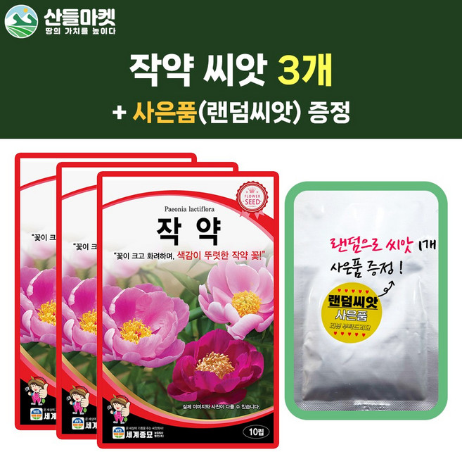 산들마켓 작약 씨앗 10립 작약 다년생 꽃씨 약초 3개+랜덤 씨앗 1개 증정
