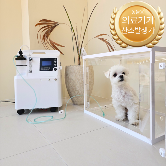 [닥터오투] 의료기기 산소방 평생소장 산소발생기 강아지, 1개, 닥터오투 동물용의료기기 산소발생기