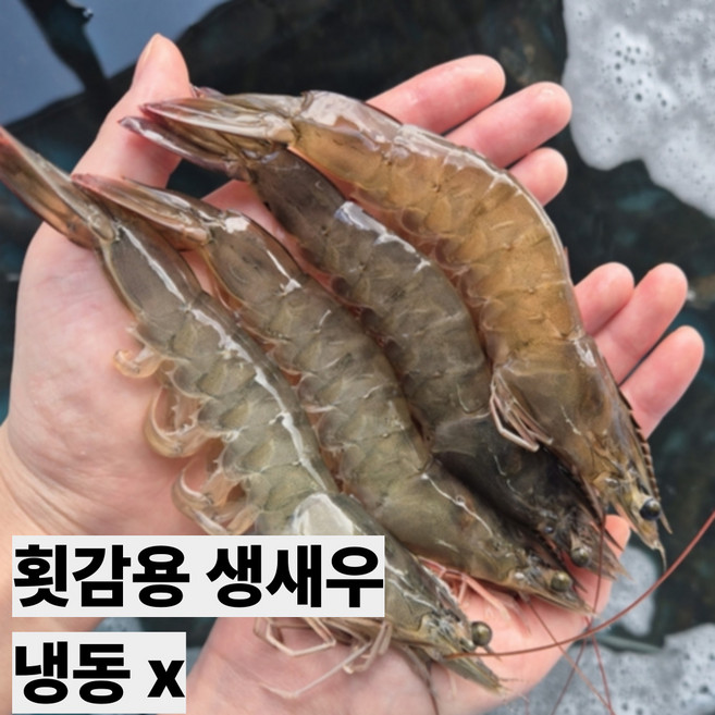 자연애수산 국산 생물 흰다리 횟감새우 생새우 회, 1개, 500g