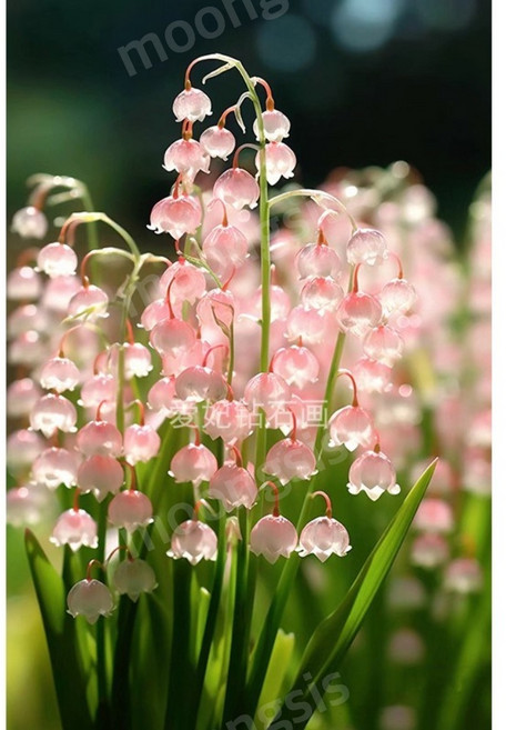 뭉시크 핑크 은방울꽃 레진 사각 보석십자수, 60x85cm, 1개