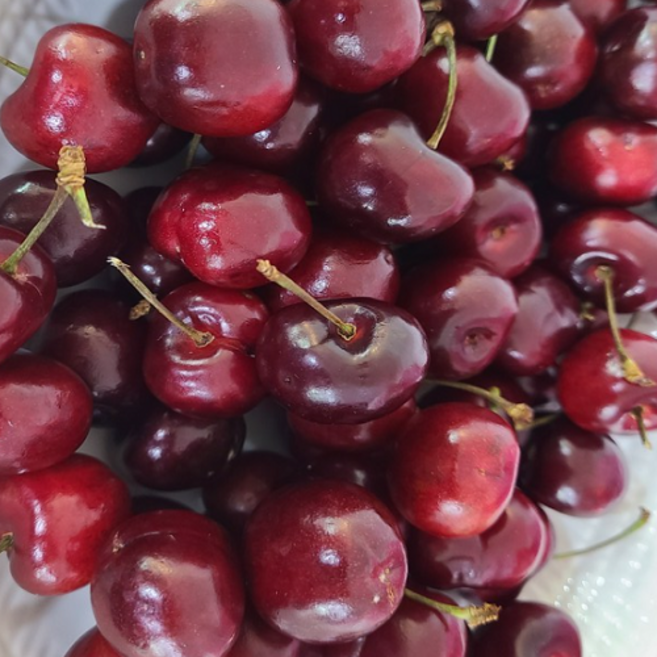 특 프리미엄 싱싱한 고당도 1kg 3kg 생체리 채리 크기9.5row 미국 칠레 체리 생체리 체리과일(og), 1개