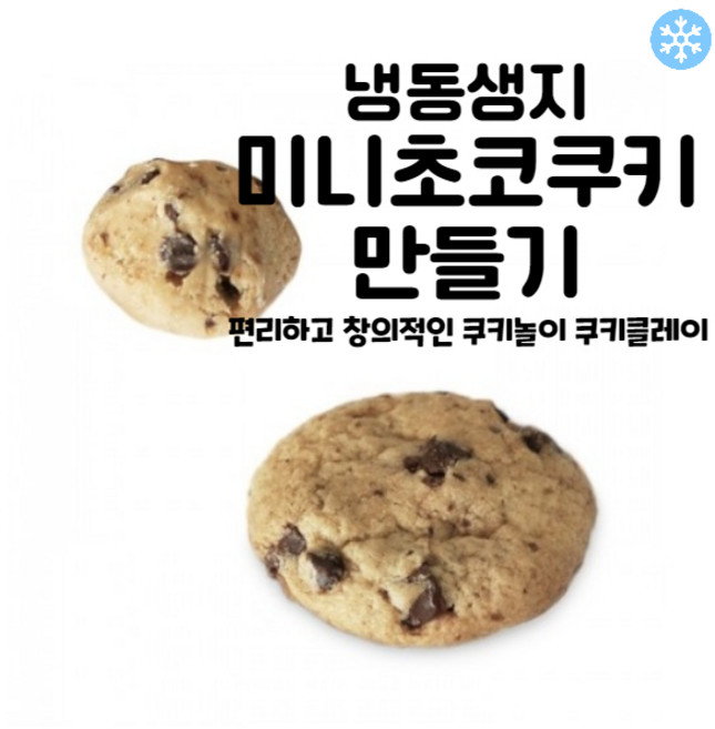 마리네빵공장 쿠키 냉동생지 미니 초코맛 토이 쿠키만들기 납품 결혼 답례품 18g, 2개