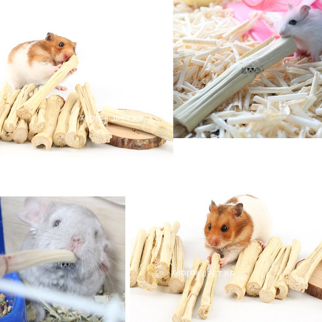 제이펫 건조 사탕수수 이갈이 스틱 20g 50g 100g 500g 토끼이갈이 햄스터 이갈이 Spet 각종사은품이 수두룩~~!, 1개