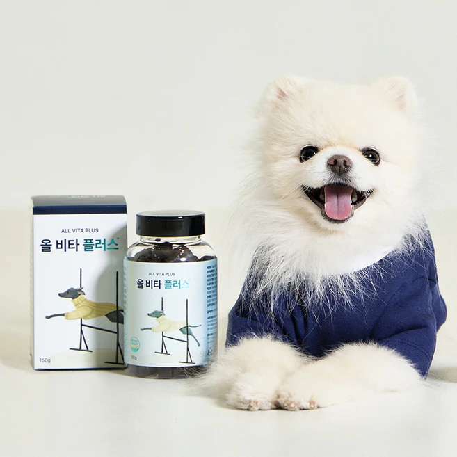 펫초이스 올 비타 플러스 강아지 종합 영양제, 1개, 종합영양제, 60정 - 쿠팡