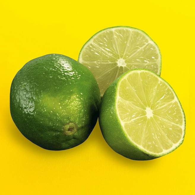 라라로코 프리미엄 생라임, 20개, 대과 100g내외