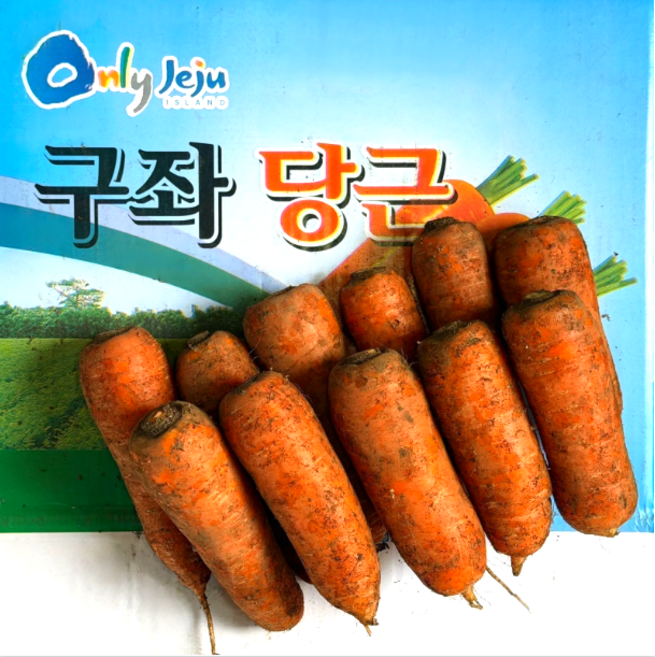 [산지직송] 2025 햇당근 제주 구좌당근, 1박스, 10kg (중)