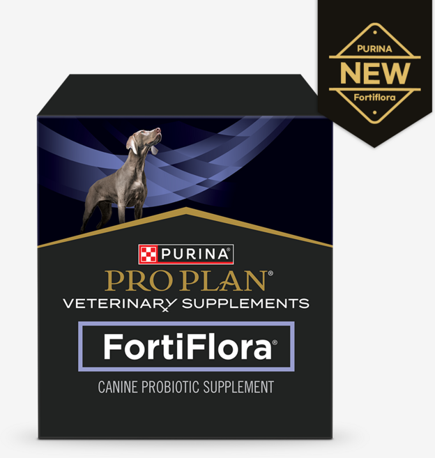 프로플랜 포티플로라 강아지 유산균(30포), 30회분, 소화기능/췌장개선, 1개