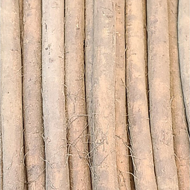 맛이깊은국내산 안동 우엉 생우엉 차 반찬용, 1세트, 1kg (차용-굵어요)