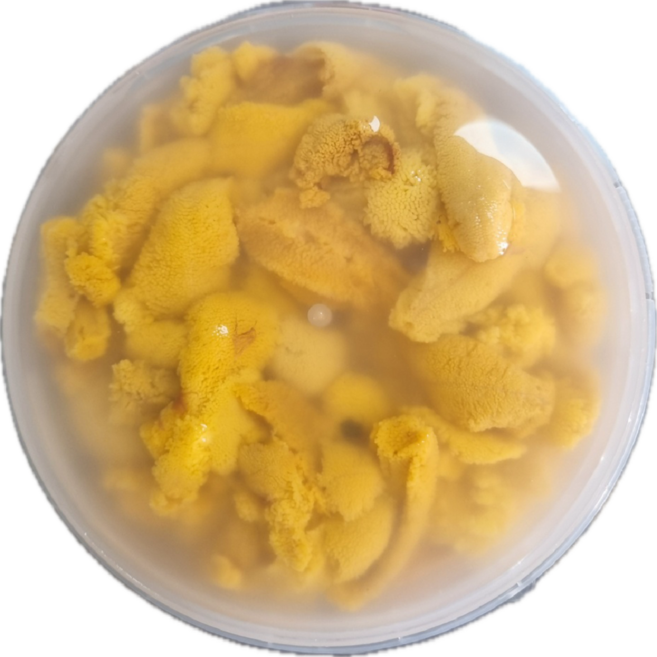 [디에이치씨푸드] 국내산 성게 포항 성게알 100g 홈마카세 우니, 1개, 홈마카세 세트