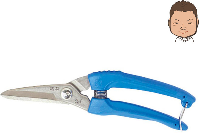 화신금속 빅스타 다목적 가위 P800 200mm, 2개