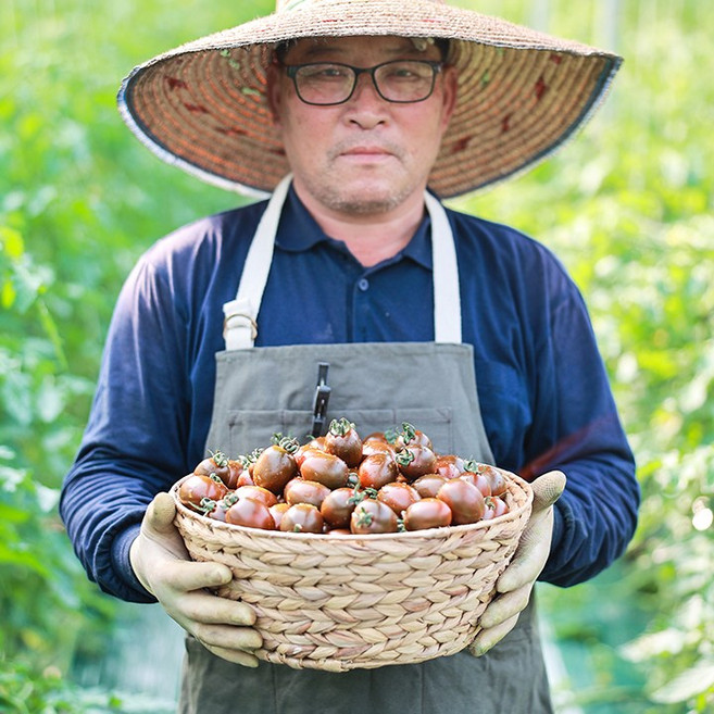 흑 대추 방울토마토 토마토아가씨 농장직영, 1박스, black tomato 1kg