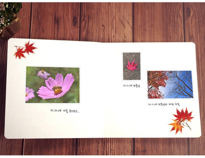 무지 스크랩북 A4 5P 10P 폴라로이드 어린이동화책만들기