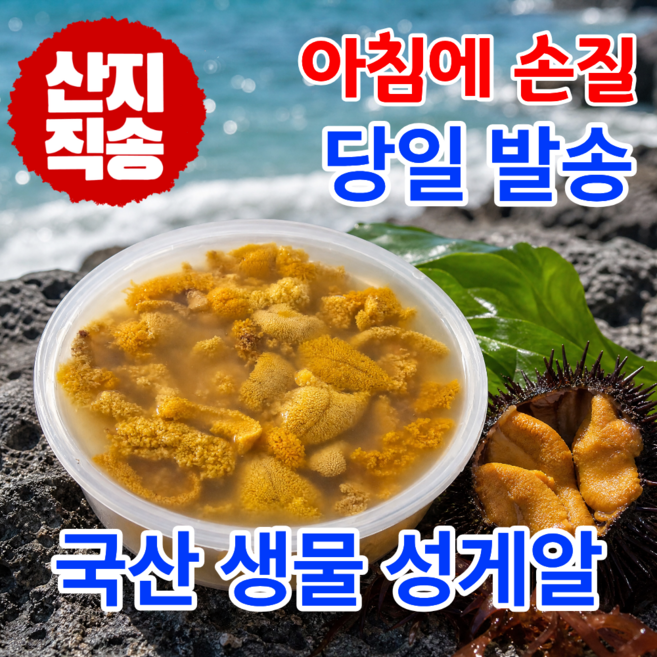 어부의뜰 국산 성게알 생물 우니 성게 보라성게알 말똥성게알 국내산, 1개, 100g