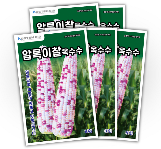 [주주씨앗] 알록이찰옥수수 씨앗 80립 얼룩찰옥수수 씨앗 다수확 통큰 옥수수, 5개