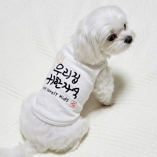 도기코디 귀한자식 나시 강아지 여름옷, 화이트, 1개