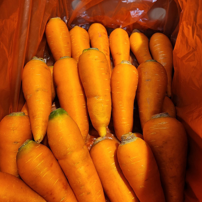 제주도 구좌 무농약 세척 햇 국내산 당근, 1개, 소, 3kg