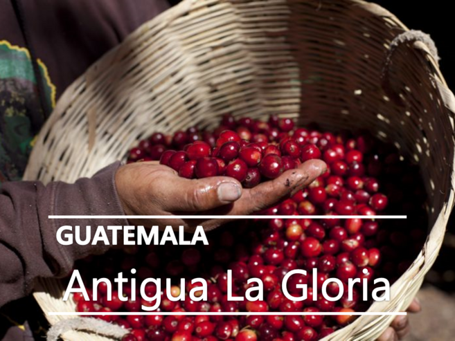 어라운드트레이딩 과테말라 안티구아 라글로리아 SHB, 1kg, 1개