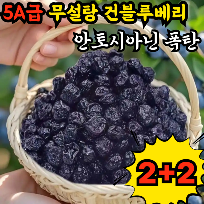 [유기농]프리미엄 건조 블루베리 무설탕 건조 블루베리 무설탕 건블루베리 100%, 4개, 100g