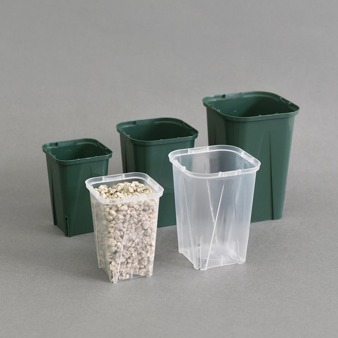 카네야 EG 사각 슬릿 화분 마이플랜트, 투명, 1개