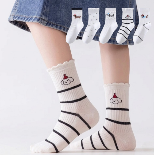 아동용 어린이 화이트 퍼피 중목 양말 5켤레 세트