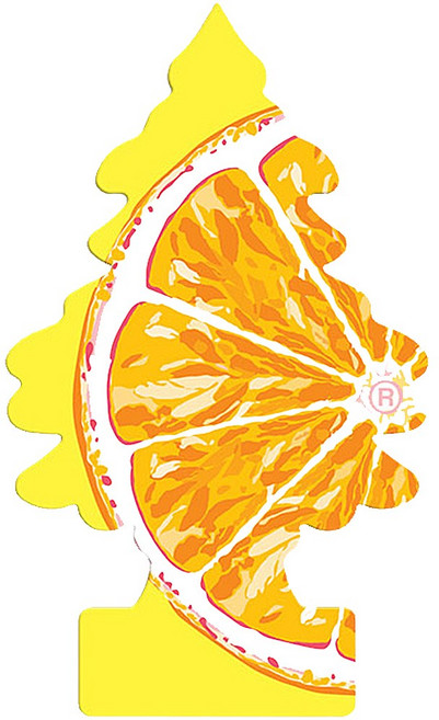 리틀트리 차량용 종이 방향제 옷장용 걸이형 디퓨저, 1개, 1개