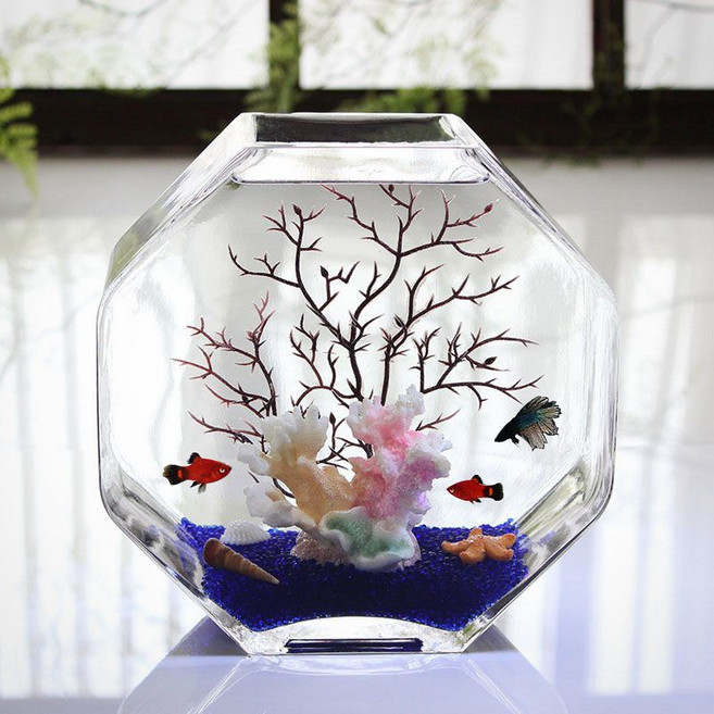 玻璃魚缸 花瓶 水培器皿 桌面小型魚缸, 1個, 大號魚缸+套餐3