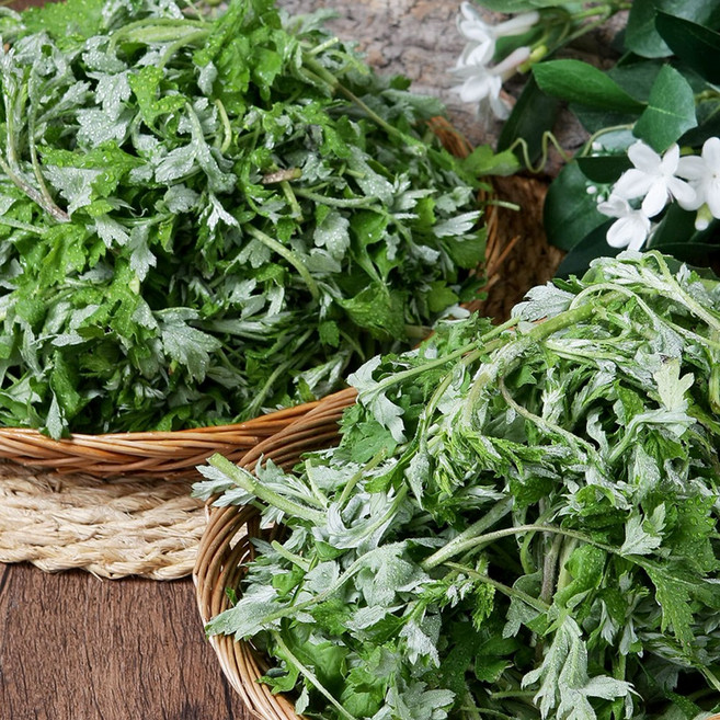 여수 거문도 해풍 쑥 500g 1kg 봄나물 제철나물, 1박스