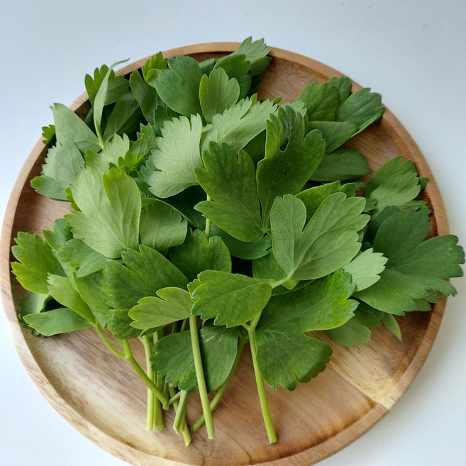 당일수확 방풍나물 방풍나물잎 갯기름나물 생나물 봄나물 산나물 방풍장아찌용, 방풍나물(갯기름나물) 1kg, 1개