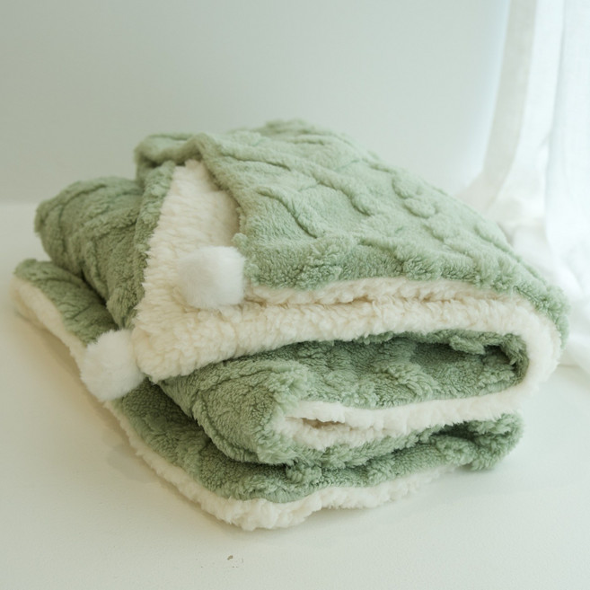 보드미펫 강아지 고양이 이불 담요, 민트, 1개