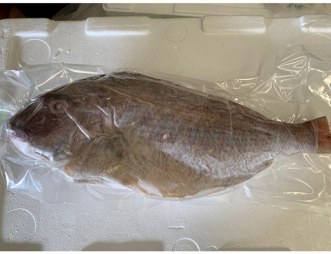 신안 만재도 삼시세끼&1박2일 바로 그~해녀채취 자연산 해풍건조 반건조 생선(선택), 1개